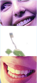 �g�c�������ȃN���j�b�N